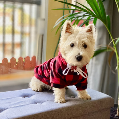 Colorful Checked Hoodie Sweater