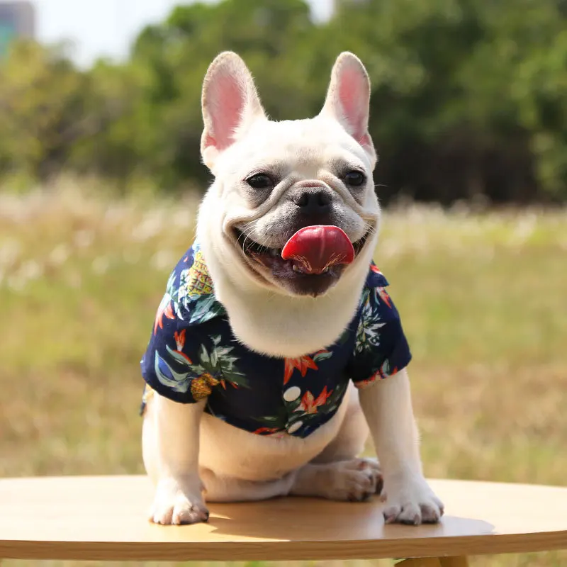 Hawaiian Beach T-Shirt