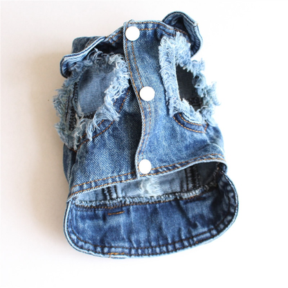 Jean Denim Jackets Collection