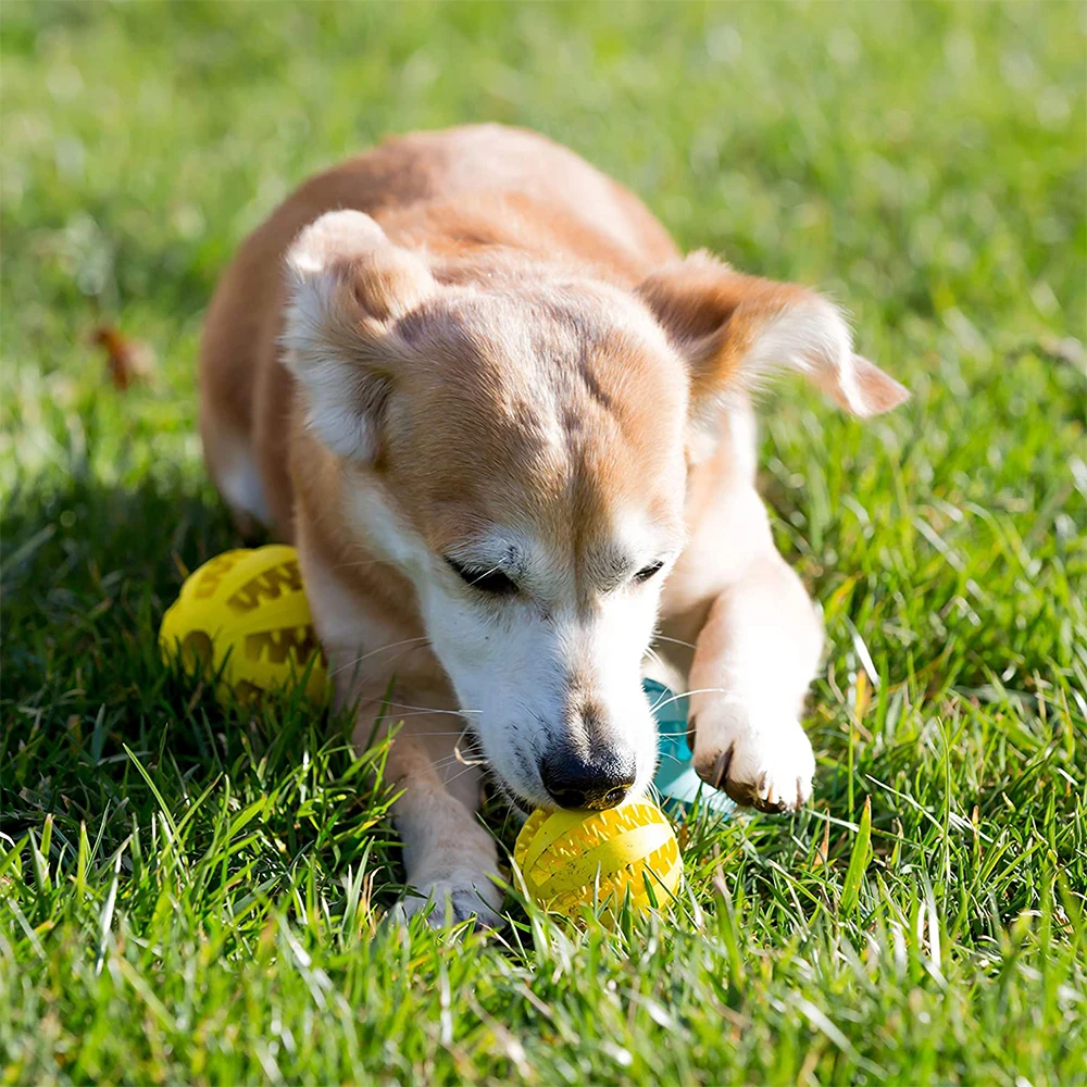 Extra-Tough Tooth Cleaning Rubber Treat Ball