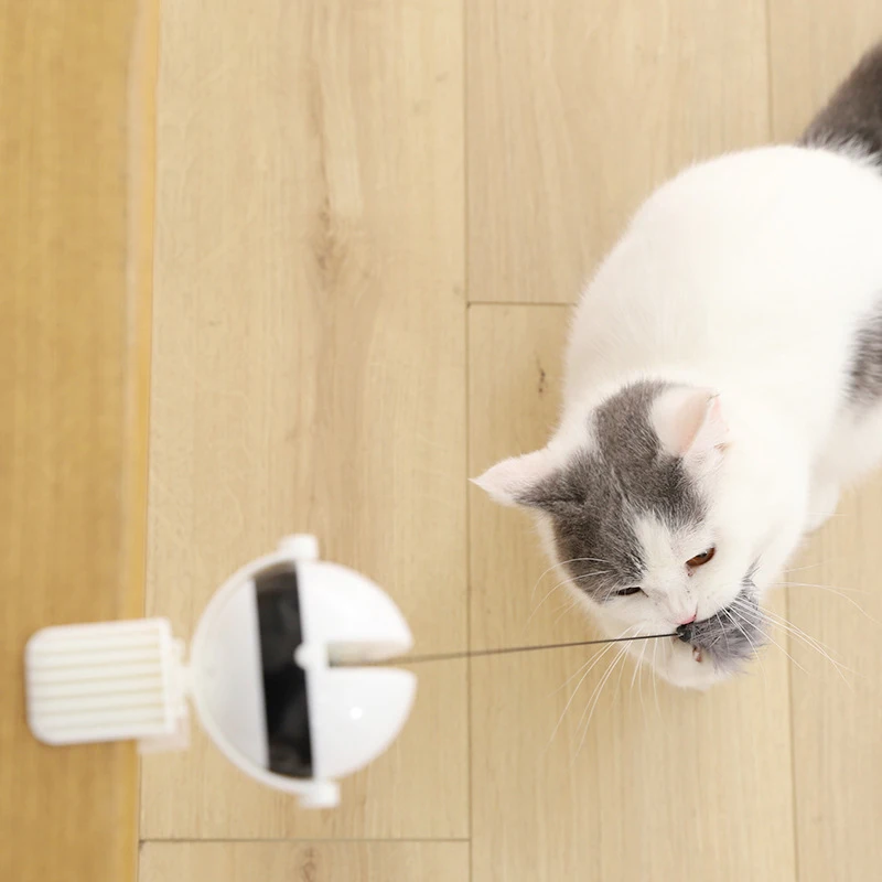 Automatisches, selbsthebendes Yo-Yo-Ball, elektrisches Spielzeug für Katzen