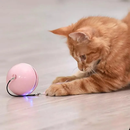 Smart LED Cat Toy Self Rolling Catnip Feather Ball