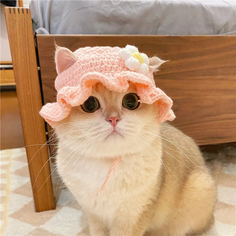 Adorable Crochet Pet Hat