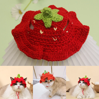 Adorable Crochet Pet Hat