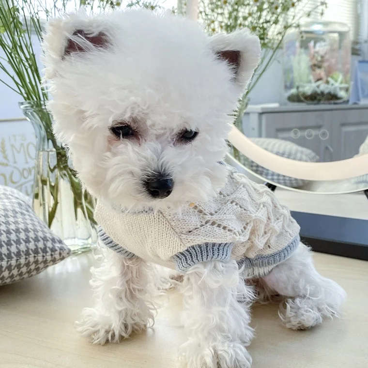 Cute Knitted Bow Sweater