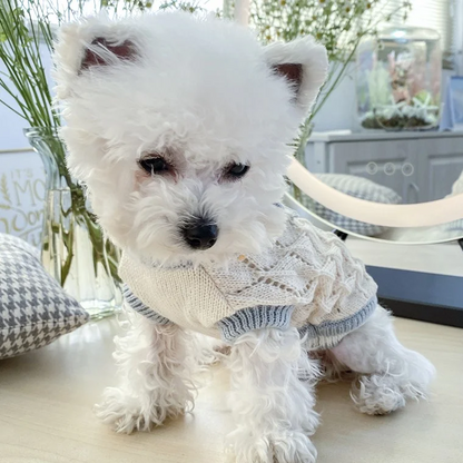 Cute Knitted Bow Sweater