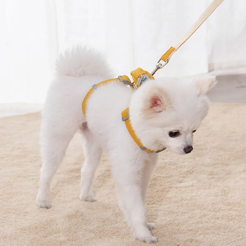 Tiny Star Backpack Harness