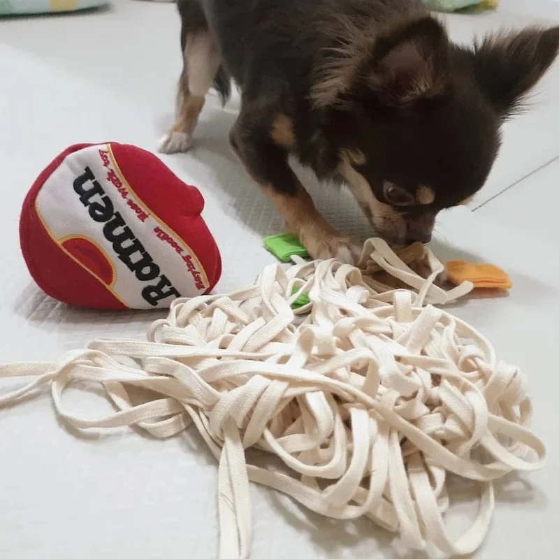 Korean Ramen Noodle Plush Toy