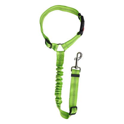 Car Head Restraint Pet Safety Leash