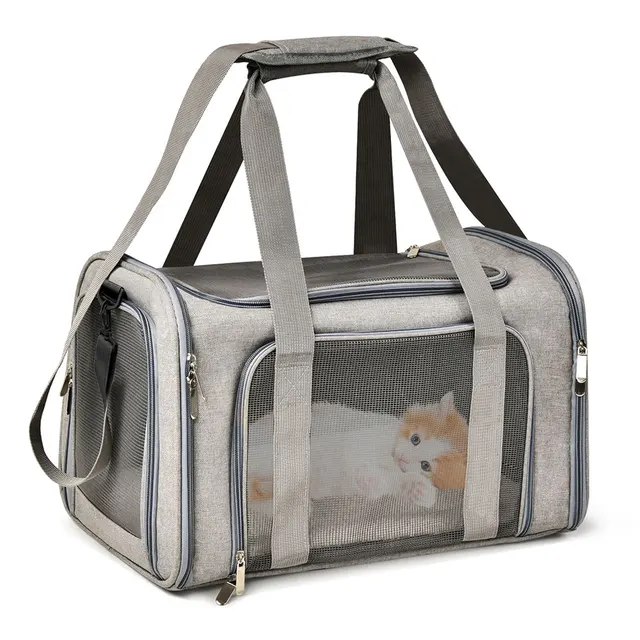 Airline Approved Small Pet Carrier