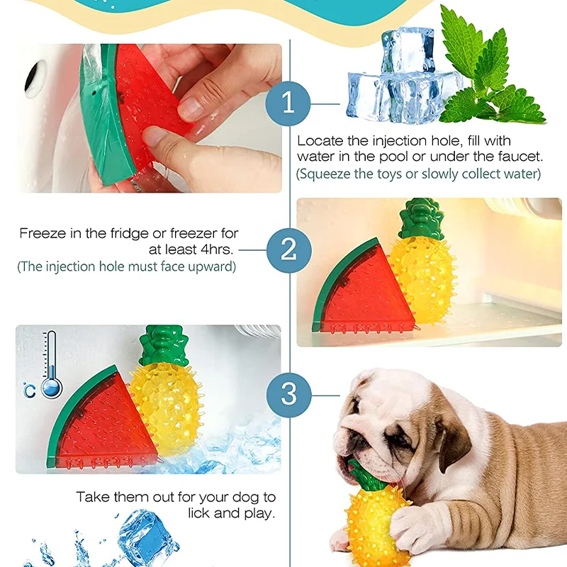 Frozen Fruit Ice Chew Toy