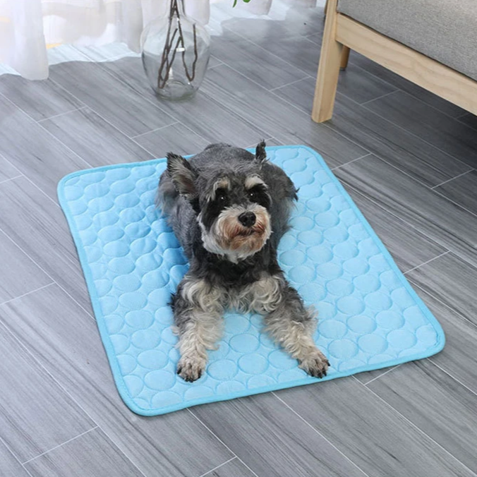 Pet Summer Blanket Cooling Mat