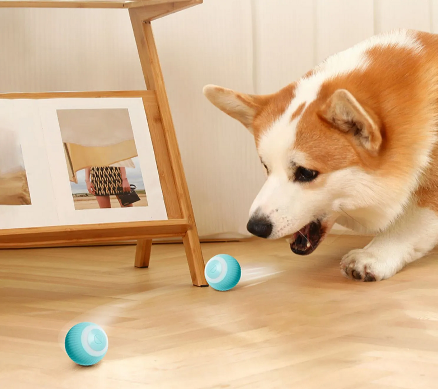 Pet Electric Self-Rolling Smart Ball