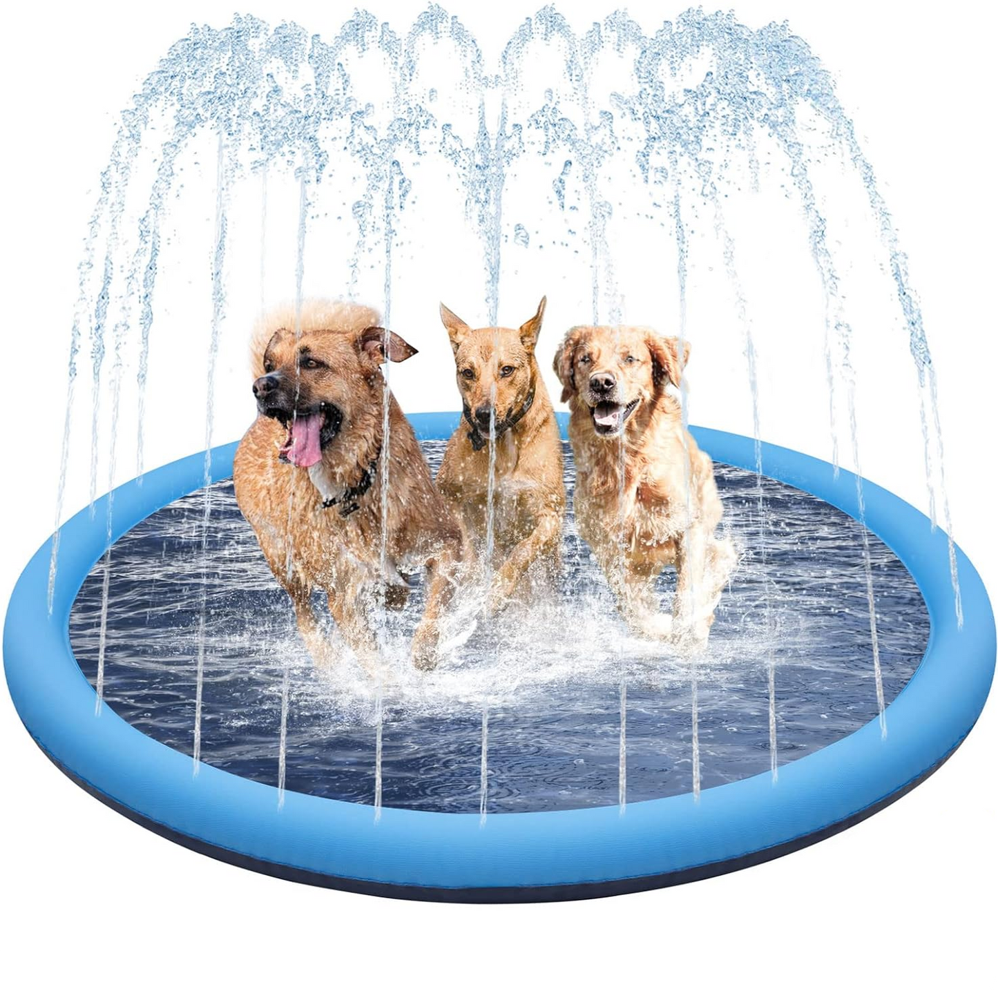 Summer Dog Pool Fountain