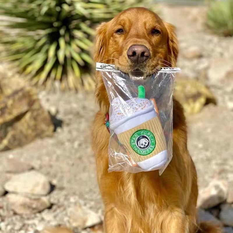 Pup Cup Squeaky Coffee Toy