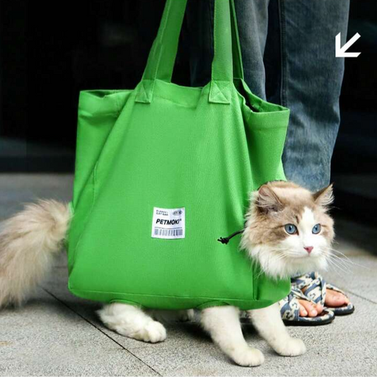 Comfy Walkable Pet Handbag