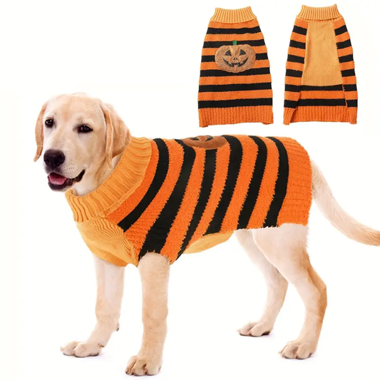 Halloween Pumpkin Sweater