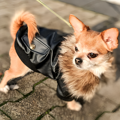 Punky Leather Parka