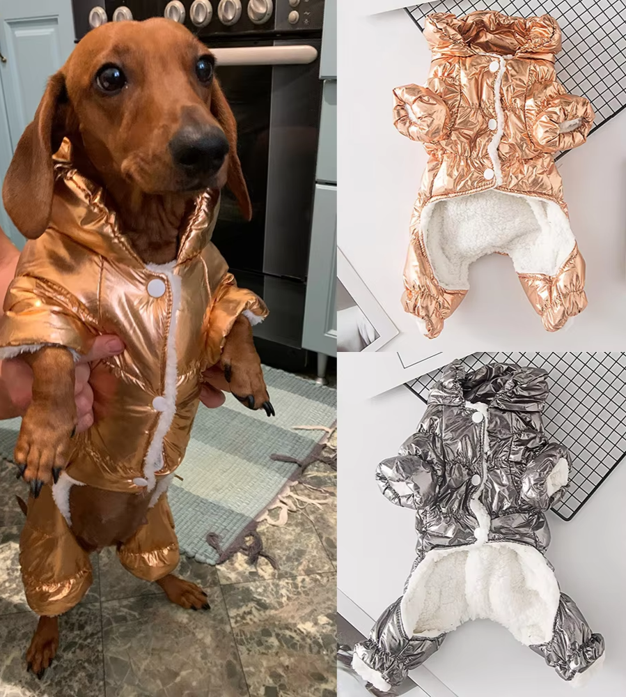 Dachshund Corgi Champagne Puffer Suit