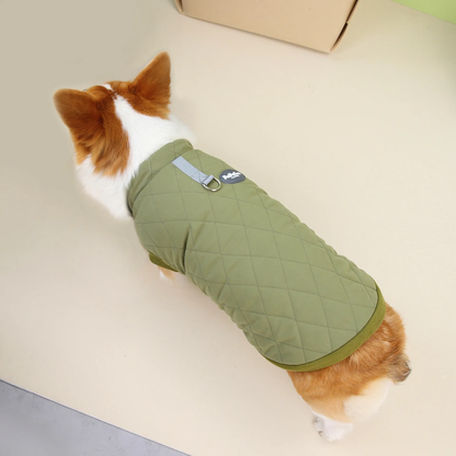 Dachshund Corgi Argyle Cotton-Padded Vest