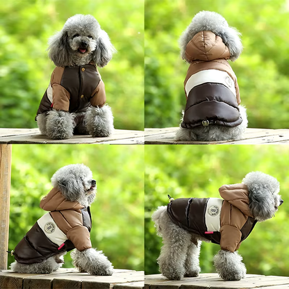 Sugar Pop Cotton-Padded Puffer Jacket