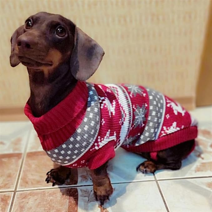 Christmas Knit Sweater for Dachshunds, Corgis, & Cats