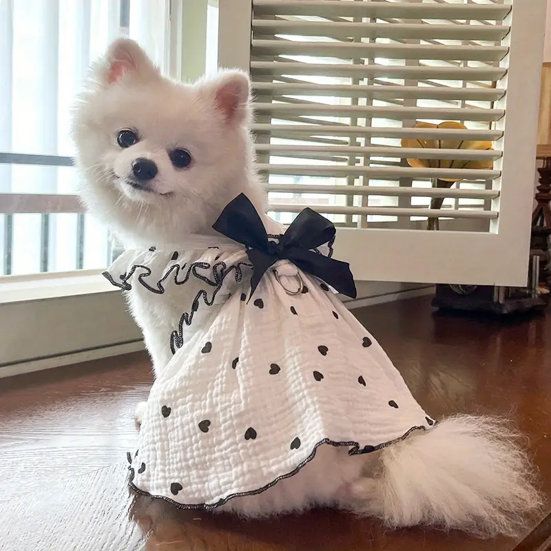Heart Bow Love Summer Dress