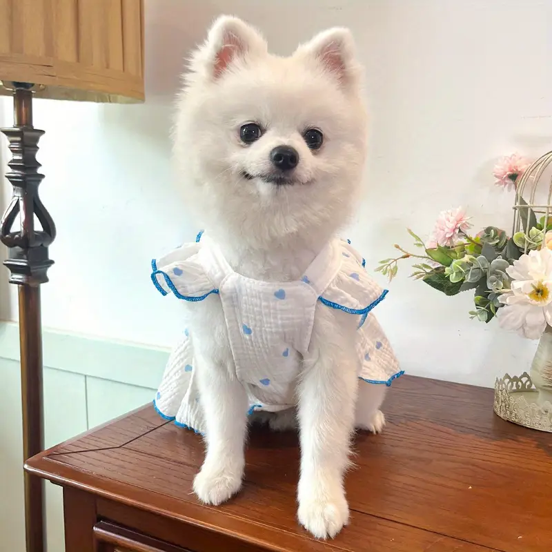 Heart Bow Love Summer Dress