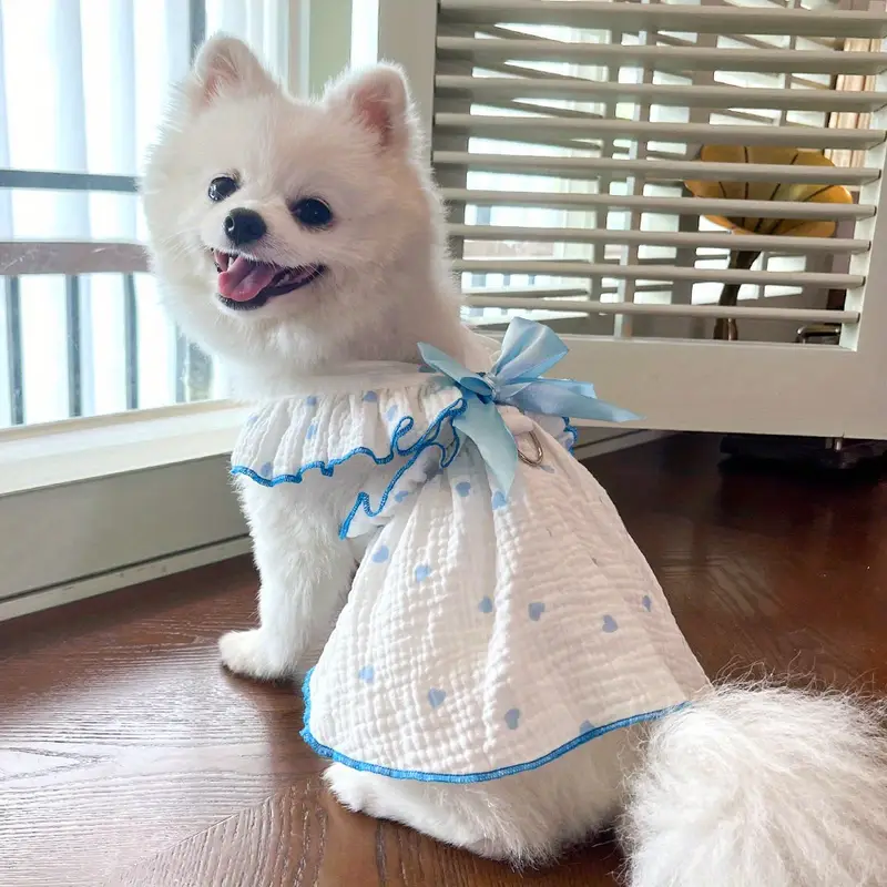 Heart Bow Love Summer Dress