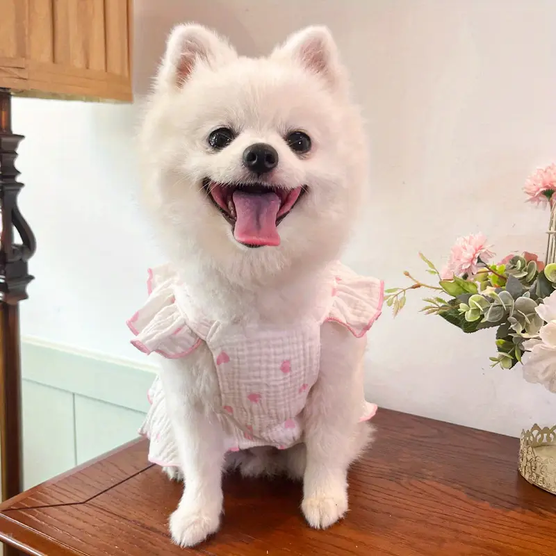 Heart Bow Love Summer Dress