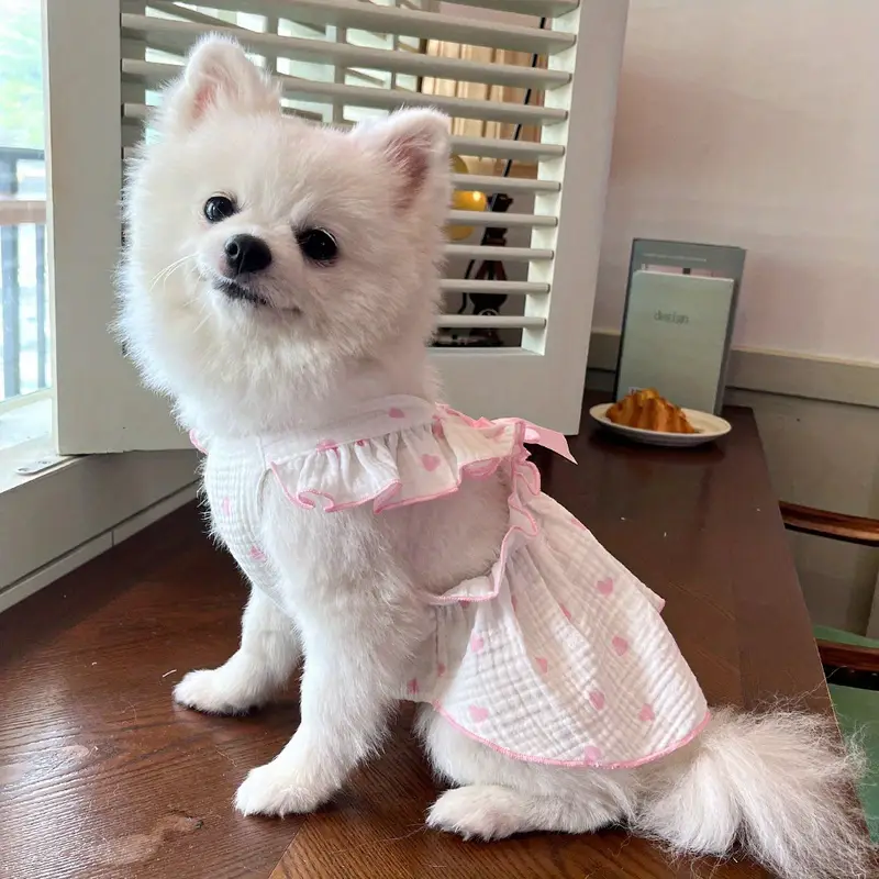 Heart Bow Love Summer Dress