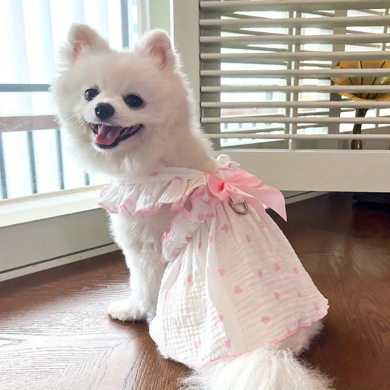 Heart Bow Love Summer Dress
