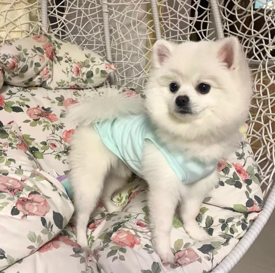 Milky Cloud Cotton Tees