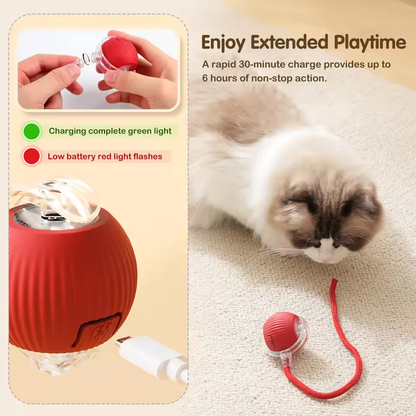 SpinBuddy™ Auto-Roll Tug Ball