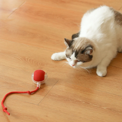 SpinBuddy™ Auto-Roll Tug Ball