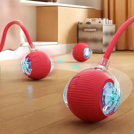 SpinBuddy™ Auto-Roll Tug Ball