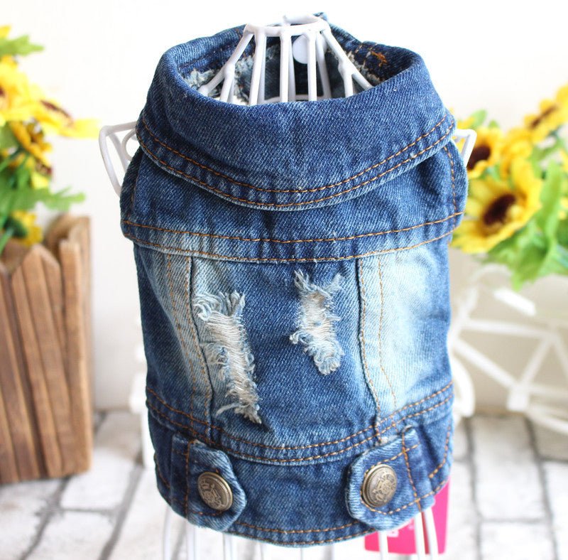 Jean Denim Jackets Collection - PawPlaza