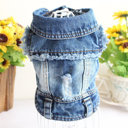 Jean Denim Jackets Collection - PawPlaza