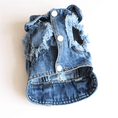 Jean Denim Jackets Collection - PawPlaza