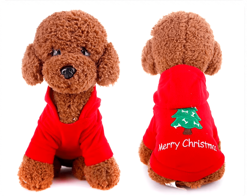 Jolly Jingle Christmas Hoodie - PawPlaza