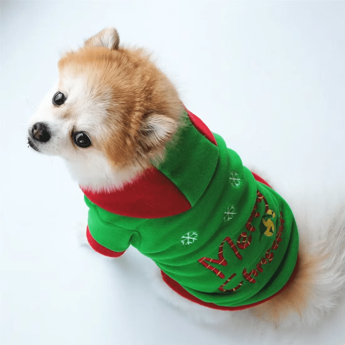 Jolly Jingle Christmas Hoodie - PawPlaza