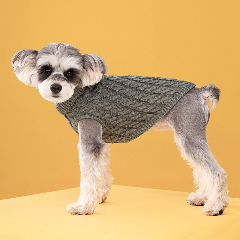 Knitted Turtleneck Sweater - PawPlaza