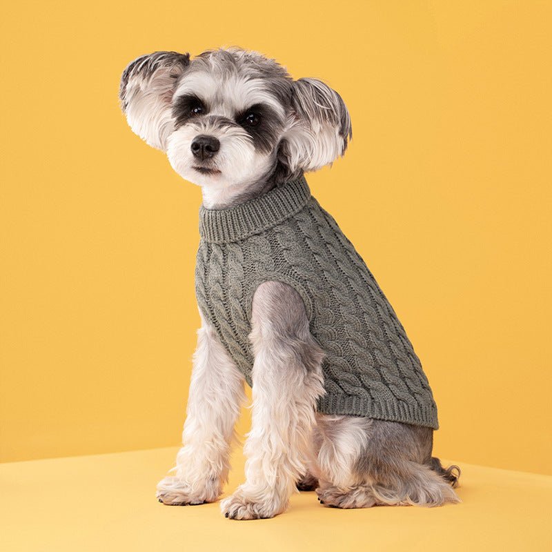 Knitted Turtleneck Sweater - PawPlaza