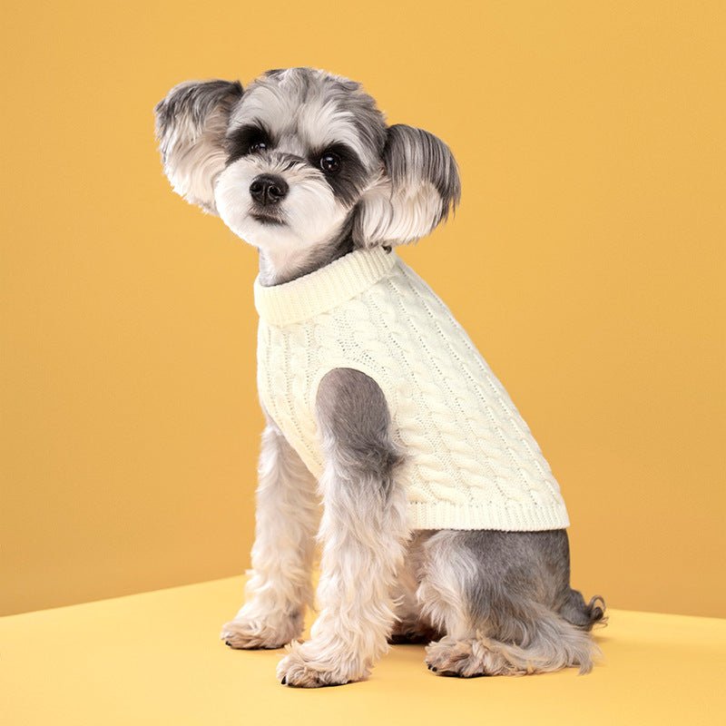 Knitted Turtleneck Sweater - PawPlaza