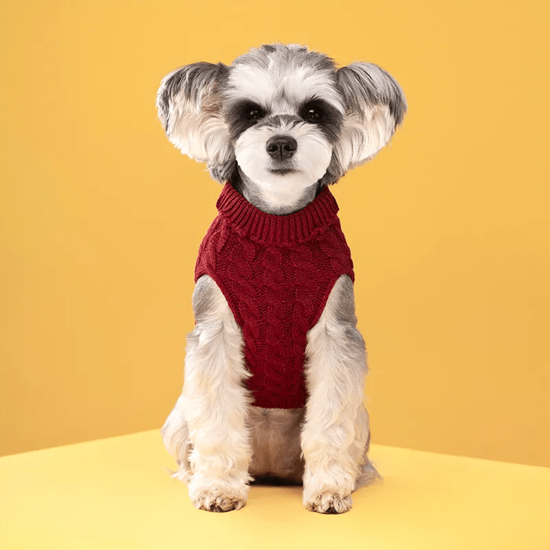 Knitted Turtleneck Sweater - PawPlaza