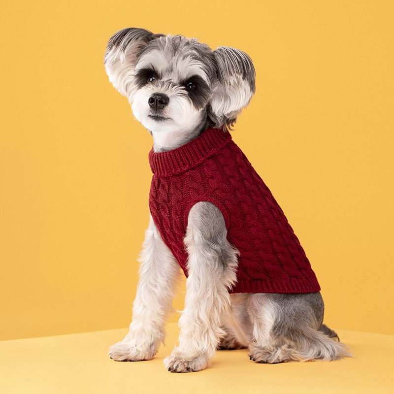 Knitted Turtleneck Sweater - PawPlaza