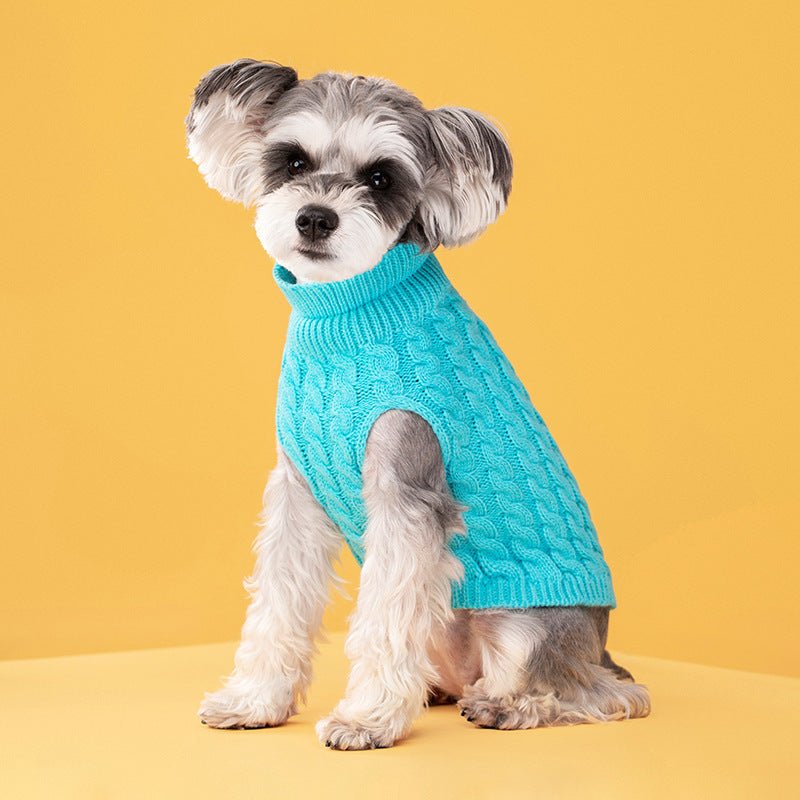 Knitted Turtleneck Sweater - PawPlaza