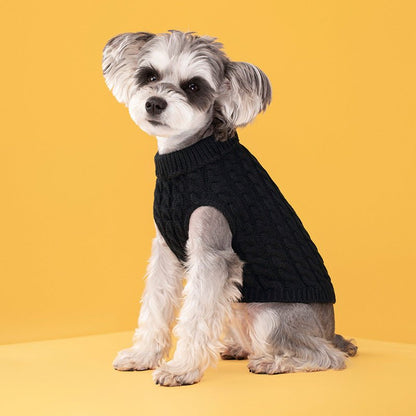 Knitted Turtleneck Sweater - PawPlaza