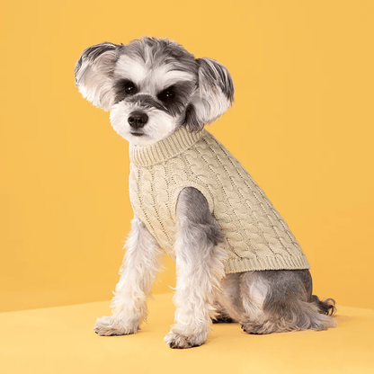 Knitted Turtleneck Sweater - PawPlaza