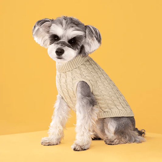 Knitted Turtleneck Sweater - PawPlaza